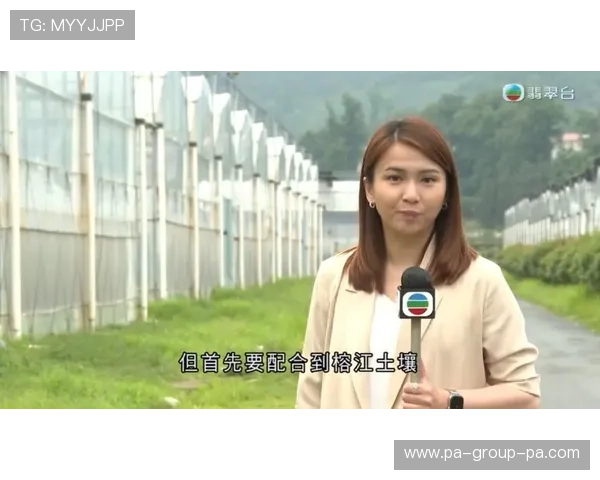 翡翠台在线直播高清观看完整频道